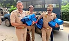 ಚಂದಾ ಚೋರಿ ಕೇಸ್‌: 74000 ಪುಟಗಳ ಚಾರ್ಜ್‌ಶೀಟ್‌ ಸಲ್ಲಿಕೆ