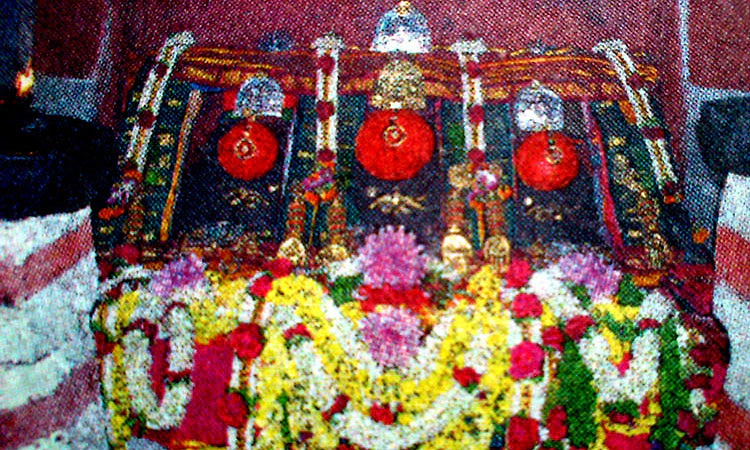 ಹಾಸನಾಂಬೆಗೆ ಈ ವರ್ಷ 25.6 ಕೋಟಿ ರೂ. ಆದಾಯ: ದಾಖಲೆ