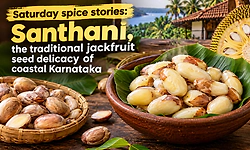 Saturday spice stories: Santhani, the traditional jackfruit seed delicacy of coastal Karnataka