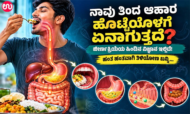 ನಾವು ತಿಂದ ಆಹಾರ ಹೊಟ್ಟೆಯೊಳಗೆ ಏನಾಗುತ್ತದೆ? ಜೀರ್ಣಕ್ರಿಯೆಯ ಹಿಂದಿನ ವಿಜ್ಞಾನ ಇಲ್ಲಿದೆ!