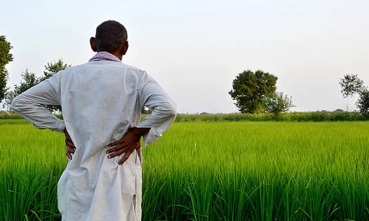 Over 2,800 farmers died by suicide in Karnataka since 2023-24 FY: Minister