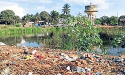 Naregal: ಜಕ್ಕಲಿ ಕೆರೆಯಲ್ಲಿ ಅಯ್ಯೋ ದುರ್ವಾಸನೆ