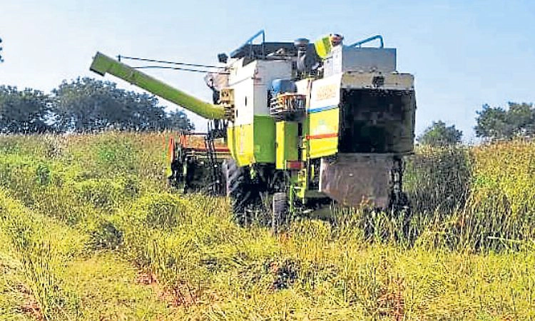 Mudgal: ತೊಗರಿ ಕೊಯ್ಲಿಗೆ ಬಂದ ಪಂಜಾಬ್‌ ಯಂತ್ರ