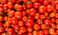 Kolar: ವಾರದಲ್ಲಿ 100 ರೂ. ಗಡಿಯತ್ತ ಕೆ.ಜಿ. ಟೊಮೇಟೋ ಧಾ​ರ​ಣೆ​ ?