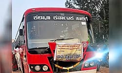 Educational tour: Lions School packs more than 80 children into a single bus!