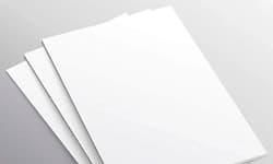 ಕನಕಗಿರಿ: ಮಗಳು ಕಾಣೆ ದೂರು ಕೊಡಲು ಪೇಪರ್‌ಬಂಡಲ್‌ ಲಂಚ!