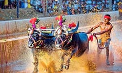 ಮಿಯ್ಯಾರು ಕಂಬಳದಲ್ಲಿ ಮಾಹೆ ಅಭಿವೃದ್ಧಿಯ ಎಐ ಬಳಕೆಗೆ ಚಿಂತನೆ