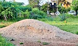 Uppala: ಮರಳು ಸಾಗಿಸುತ್ತಿದ್ದ ಆಟೋ ರಿಕ್ಷಾ ವಶಕ್ಕೆ