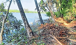 Basroor: ಆನಗಳ್ಳಿ; 2.5 ಕಿ.ಮೀ. ದೂರದವರೆಗೆ ರಿಂಗ್‌ ರೋಡ್‌ ಬೇಡಿಕೆ