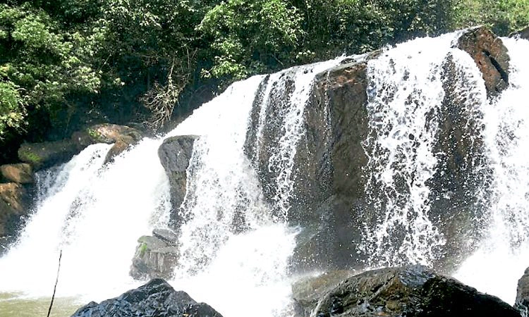 Hassan: ಸೌಕರ್ಯವಿಲ್ಲದೇ ಮೂಕನಮನೆ ಮೂಕವೇದನೆ!