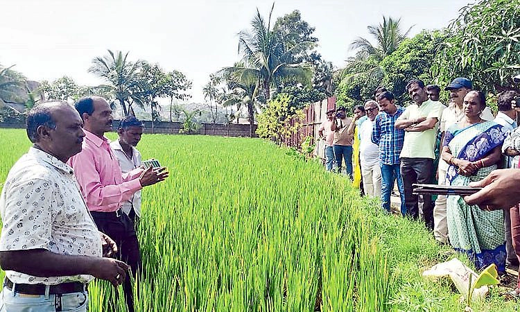 ಹಸಿರಿನೊಂದಿಗೆ ಮಾತುಕತೆ: ಕೃಷಿಕರಿಂದ...ಕೃಷಿಕರಿಗಾಗಿ..!