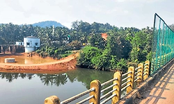 Moodbidri: ಪುಚ್ಚಮೊಗರು ಸೇತುವೆ; ಕಸದ ಕಾಟಕ್ಕೆ ಅರೆಬರೆ ಬೇಲಿ!