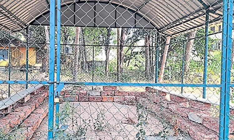 Prison nursery sales centre in Mangaluru lies defunct without saplings