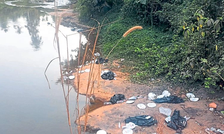 ವಿಟ್ಲ ಪರಿಸರದಲ್ಲಿ ಎಲ್ಲಿ ನೋಡಿದರಲ್ಲಿ ತ್ಯಾಜ್ಯ!