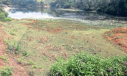 Tallur; ಕೆಂಚನೂರು ಕಟ್ಕೆರಿ ಕೆರೆ ತುಂಬಿದರೆ ಊರಿಗೇ ನೀರು!