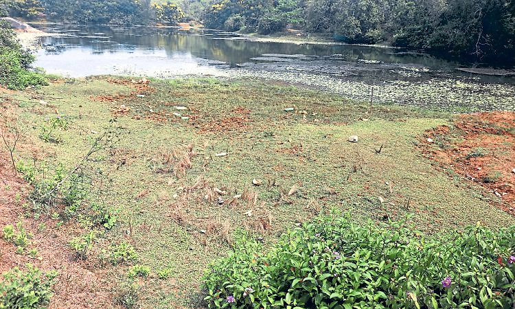 Tallur; ಕೆಂಚನೂರು ಕಟ್ಕೆರಿ ಕೆರೆ ತುಂಬಿದರೆ ಊರಿಗೇ ನೀರು!