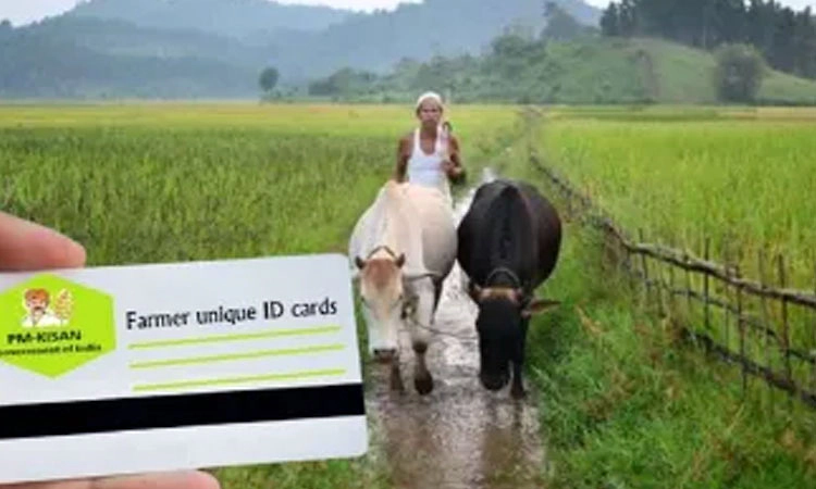 "ಫ್ರುಟ್ಸ್‌' ಮಾದರಿಯಂತೆ ಕೇಂದ್ರ ರೈತ ಐಡಿ