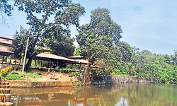 40ಕ್ಕೂ ಅಧಿಕ ಕಲಾಕಾರರಿಂದ ನಂದಿನಿ ನದಿಯ ಚಿತ್ರ ರಚನೆ