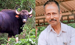 ಚಿಕ್ಕಮಗಳೂರು: ತೋಟಕ್ಕೆ ತೆರಳಿದ್ದ ಕೃಷಿಕನ ಮೇಲೆ ಕಾಡುಕೋಣ ದಾಳಿ: ಗ್ರಾಮಸ್ಥರ ಆಕ್ರೋಶ