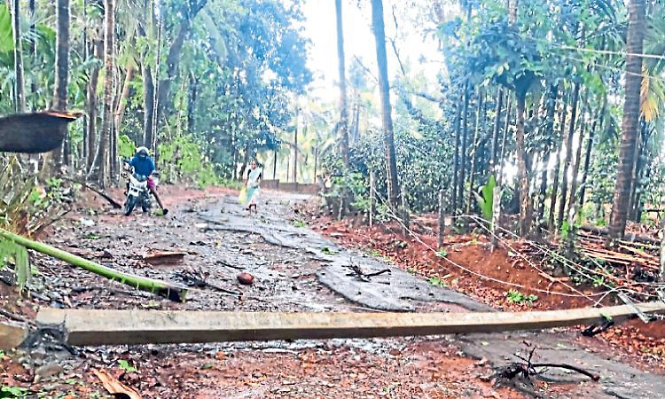 ಅಂಡಾರು: ಭಾರೀ ಗಾಳಿ ಮಳೆಗೆ ಮರಗಳು ಧರಾಶಾಯಿ