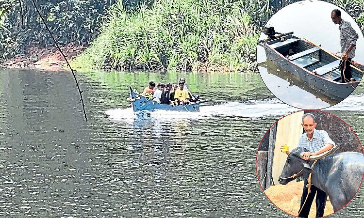 ಕಂಬಳದ ಕೋಣಗಳಿಗೆ ಹುಲ್ಲು ತರಲು ಸ್ವತಃ ದೋಣಿ ಸಿದ್ಧಪಡಿಸಿದ ಅಬೂಬಕ್ಕರ್‌!