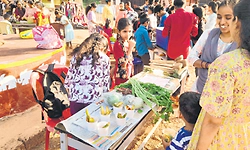 ಮಾವಿಗೆ ಉಪ್ಪು ಖಾರ ಹಾಕಿ 1,000 ರೂ.ಲಾಭ!