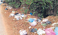 ಉದ್ಯಾವರ : ಮುಖ್ಯ ರಸ್ತೆ ಬದಿಯಲ್ಲಿ ತ್ಯಾಜ್ಯಗಳ ರಾಶಿ; ಪರಿಸರದಲ್ಲಿ ಕೃತಕ ನೆರೆ ಭೀತಿ