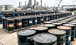 ರಷ್ಯಾದಿಂದ 6 ಕೋಟಿ ಬ್ಯಾರಲ್‌ ತೈಲ ಖರೀದಿಸಿದ ಭಾರತ: ವರದಿ