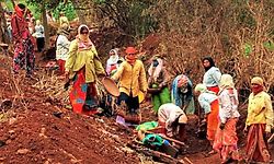 ಮನರೇಗಾ ಅಕ್ರಮ: ಸರಕಾರ ಕಠಿನ ಕ್ರಮ ಕೈಗೊಳ್ಳ‌ಲಿ