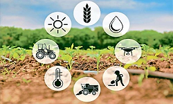 ಜಾಗತಿಕವಾಗಿ ಕೊಕ್ಕೋ ಬೆಳೆಗೆ ಸಂಕಷ್ಟ ಕರಾವಳಿಗರಲ್ಲಿ  ಮೂಡಿದ ಆಶಾವಾದ