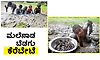 Fish hunting: ಮಲೆನಾಡ ಬೆಡಗು ಕೆರೆಬೇಟ