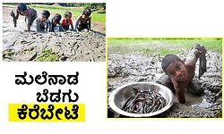 Fish hunting: ಮಲೆನಾಡ ಬೆಡಗು ಕೆರೆಬೇಟ