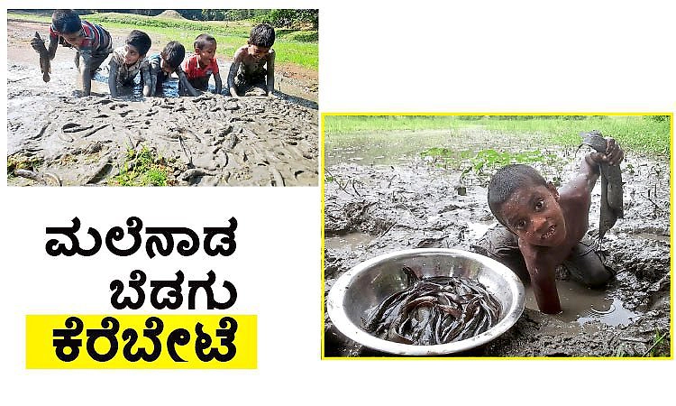 Fish hunting: ಮಲೆನಾಡ ಬೆಡಗು ಕೆರೆಬೇಟ