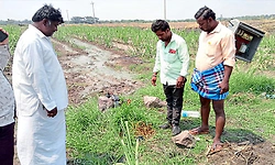 Koppala: ರೈತರ ಪಂಪ್‌ಸೆಟ್ ನ ಮೋಟರ್, ಪೈಪ್, ಕೇಬಲ್ ಕಳ್ಳತನ