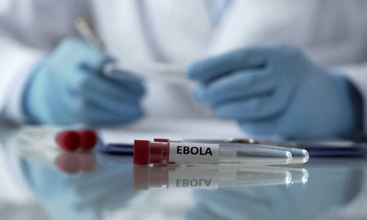 Ebola panic: Special vigil in Mangaluru