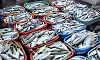 Sea fish prices surge in Bengaluru as annual fishing ban hits supply