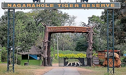 ಬಂಡೀಪುರ, ನಾಗರಹೊಳೆ ಪ್ರವೇಶ, ಸಫಾರಿ ಶುಲ್ಕ ಹೆಚ್ಚಳ