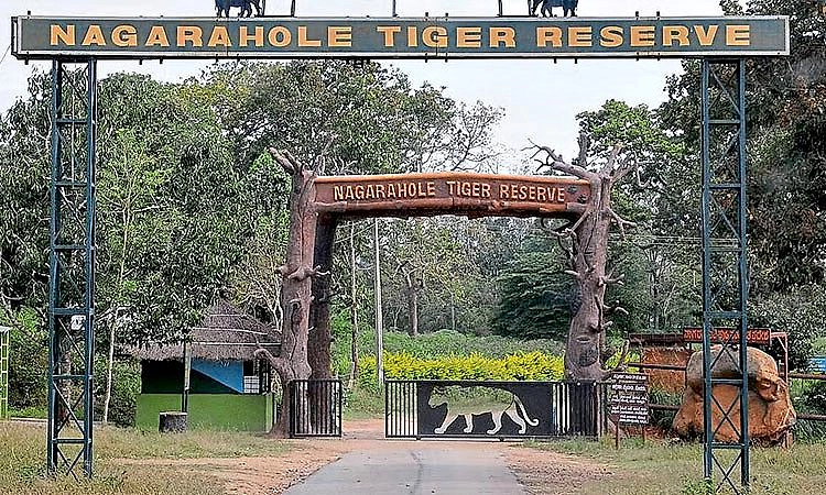 ಬಂಡೀಪುರ, ನಾಗರಹೊಳೆ ಪ್ರವೇಶ, ಸಫಾರಿ ಶುಲ್ಕ ಹೆಚ್ಚಳ