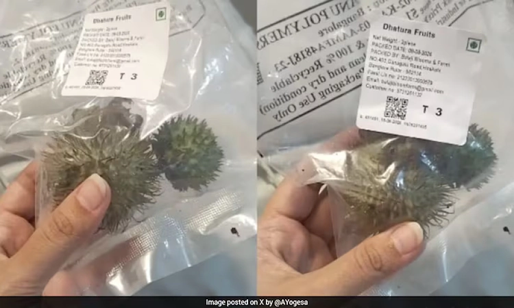 Karnataka suspends food licences of Amazon, Instamart and BigBasket over datura sale