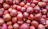First 'Kanda Express' with 800 tn onion to reach Delhi on Wed; to be retailed at Rs 35/kg