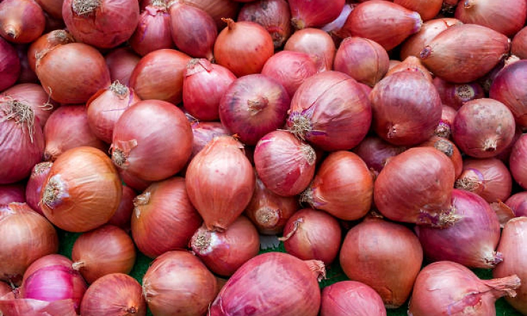First 'Kanda Express' with 800 tn onion to reach Delhi on Wed; to be retailed at Rs 35/kg