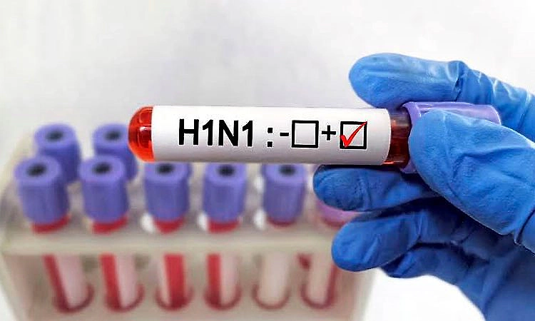 Rise in H1N1 cases: Is vaccination mandatory for everyone above 65? Here is what ICMR said