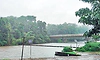 ಕಾಡಿನ ನಡುವೆ ದೇವರ ನೆಲೆ;ಬದುಕಿನ ಸೆಲೆ 