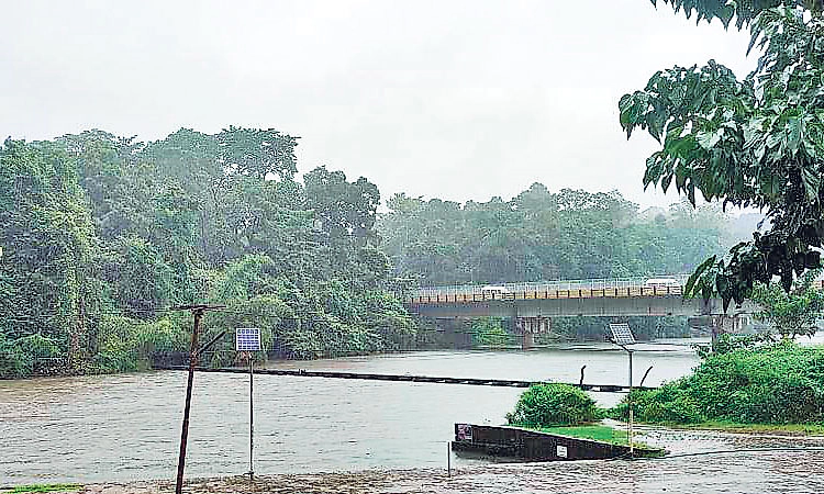 ಕಾಡಿನ ನಡುವೆ ದೇವರ ನೆಲೆ;ಬದುಕಿನ ಸೆಲೆ 