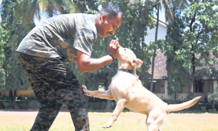 New Labrador puppy ‘Laika’ joins Dakshina Kannada police dog squad