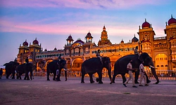 ಮೈಸೂರು ದಸರಾ ಉಸ್ತುವಾರಿಗೆ 22 ಮಂದಿ ಸಚಿವರ ನಿಯೋಜನೆ?