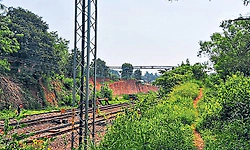 ಮಂಜೇಶ್ವರದಲ್ಲಿ ಸಂಪರ್ಕ ಮೇಲ್ಸೇತುವೆ ಬೇಡಿಕೆ