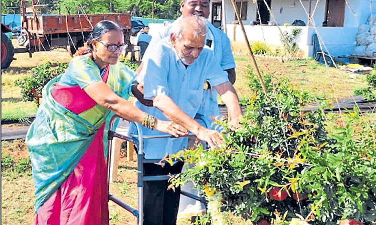 Kushtagi: ಕೃಷಿಯಲ್ಲಿ ಖುಷಿ ಕಂಡ ವೃದ್ಧ ದಂಪತಿ