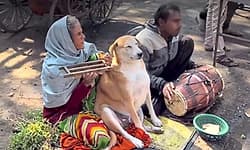 Viral Video: ಸತ್ಸಂಗದಲ್ಲಿ ಶಾಂತವಾಗಿ ಕುಳಿತು ಭಜನೆ ಆಲಿಸಿದ 'ಡೋಗೇಶ್ ಭಾಯಿ'