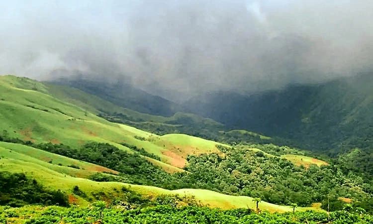 Chikkamagaluru:ದ.ಕ.ಜಿಲ್ಲೆಯ ಪುತ್ತೂರಿನ ಪ್ರವಾಸಿಗರ ಜೀಪ್ ಚಾಲಕನ ನಿಯಂತ್ರಣ ತಪ್ಪಿ ಪಲ್ಟಿ